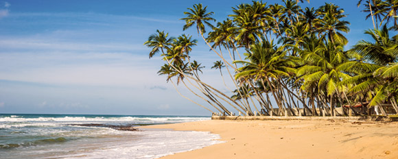Entspannen Sie sich an den schönsten Strände und Küstenabschnitte Sri Lankas

