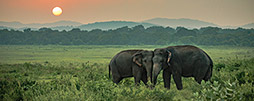 Nationalparks in Sri Lanka