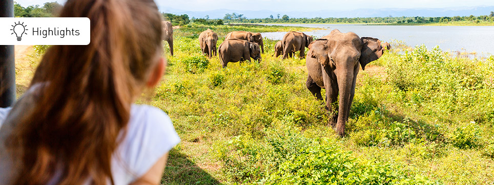 Sri Lanka Ferien mit Kindern