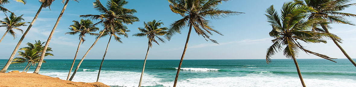 Sri Lanka beste Reisezeit