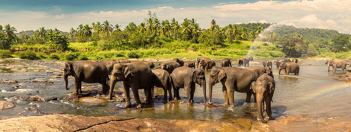 Sri Lanka Reisen